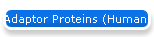 Adaptor Proteins (Human)