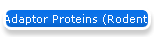 Adaptor Proteins (Rodent)