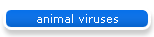 animal viruses