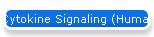 Cytokine Signaling (Human)