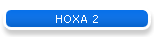 HOXA 2