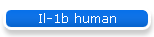 Il-1b human