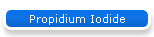 Propidium Iodide