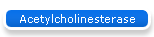 Acetylcholinesterase