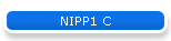 NIPP1 C