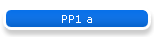 PP1 a