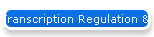 Transcription Regulation & Nuclear Proteins (Veterinary)