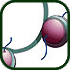 Histone Methyalation