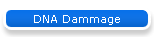 DNA Dammage