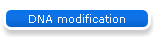 DNA modification