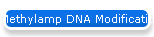 Methylamp DNA Modification Kit