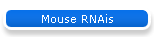 Mouse RNAis