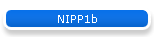 NIPP1b
