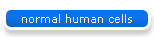 normal human cells