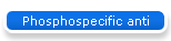 Phosphospecific anti