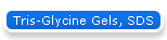 Tris-Glycine Gels, SDS